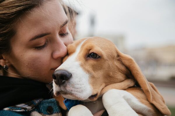 Most Dogs Dislike Hugs