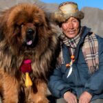 10 Most Expensive Dog Breeds You Can Adopt