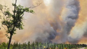 Georgia Wildfire Destroy Over 120 Homes in Minutes